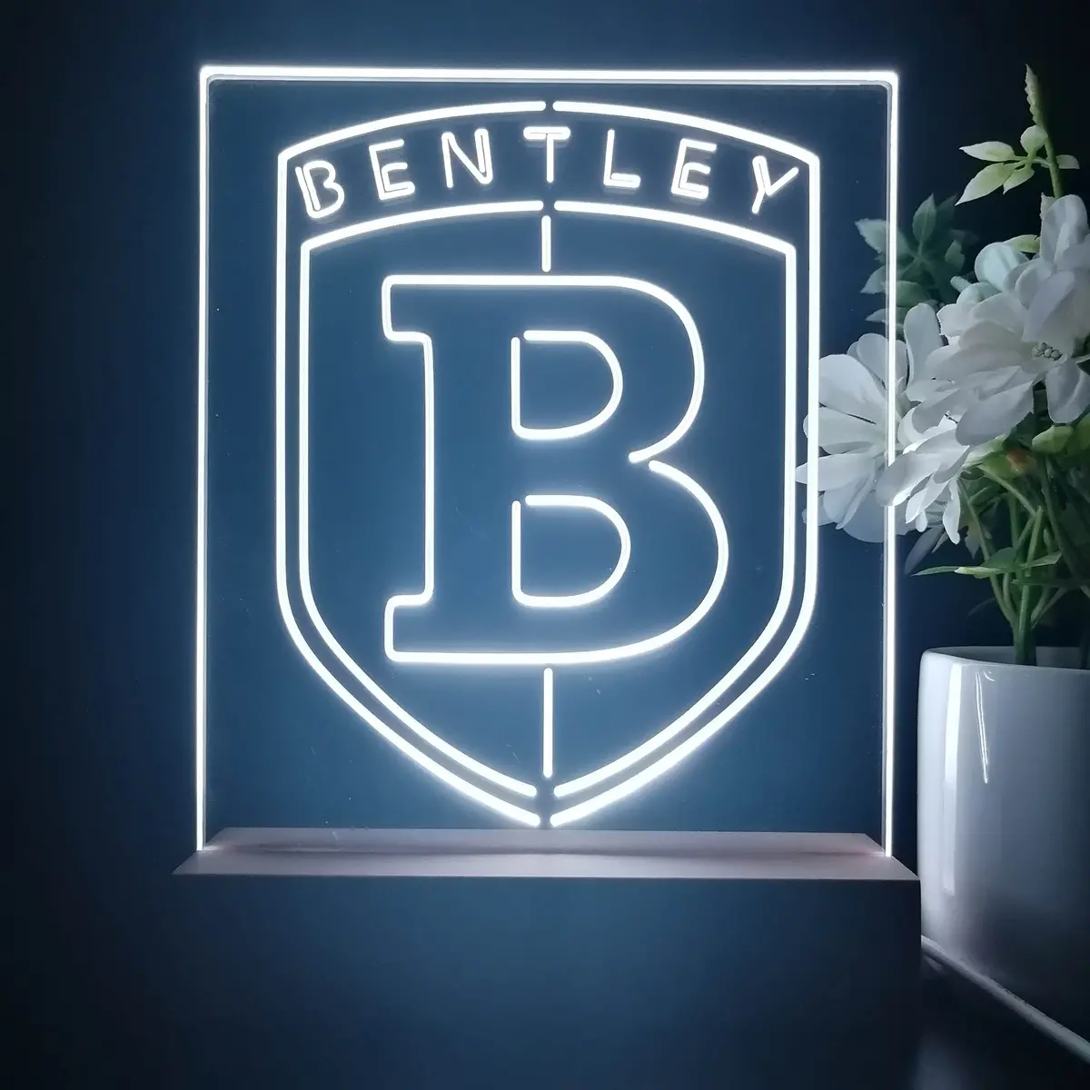 Bentley Car 3D Illusion Night Light Desk Lamp 2