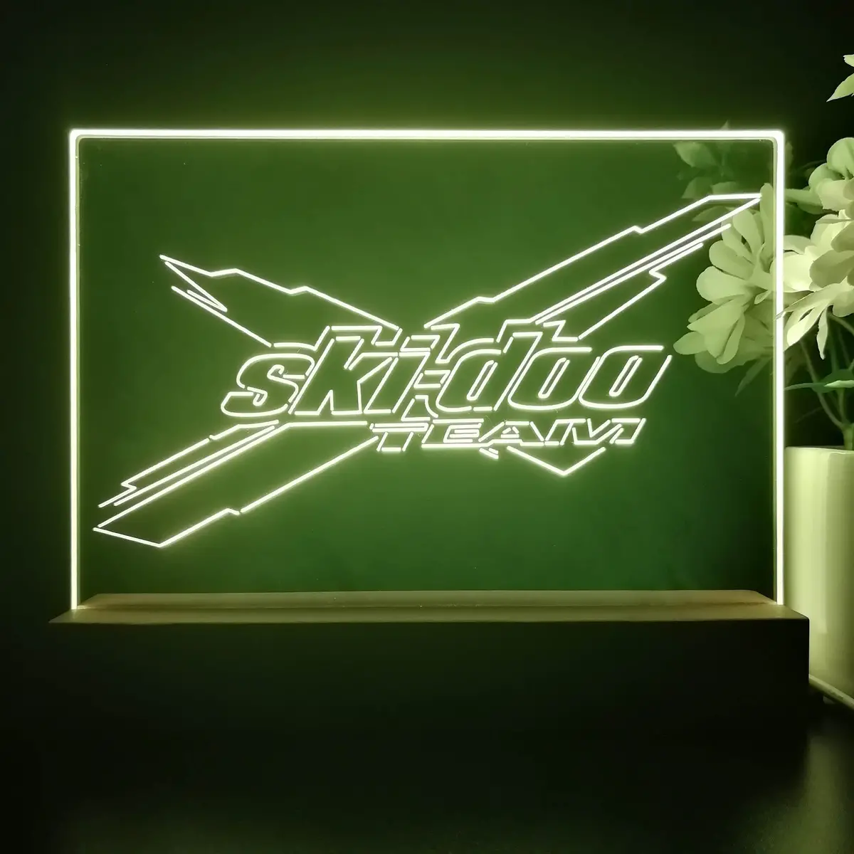 Ski-Doo 3D Illusion Night Light Desk Lamp 2