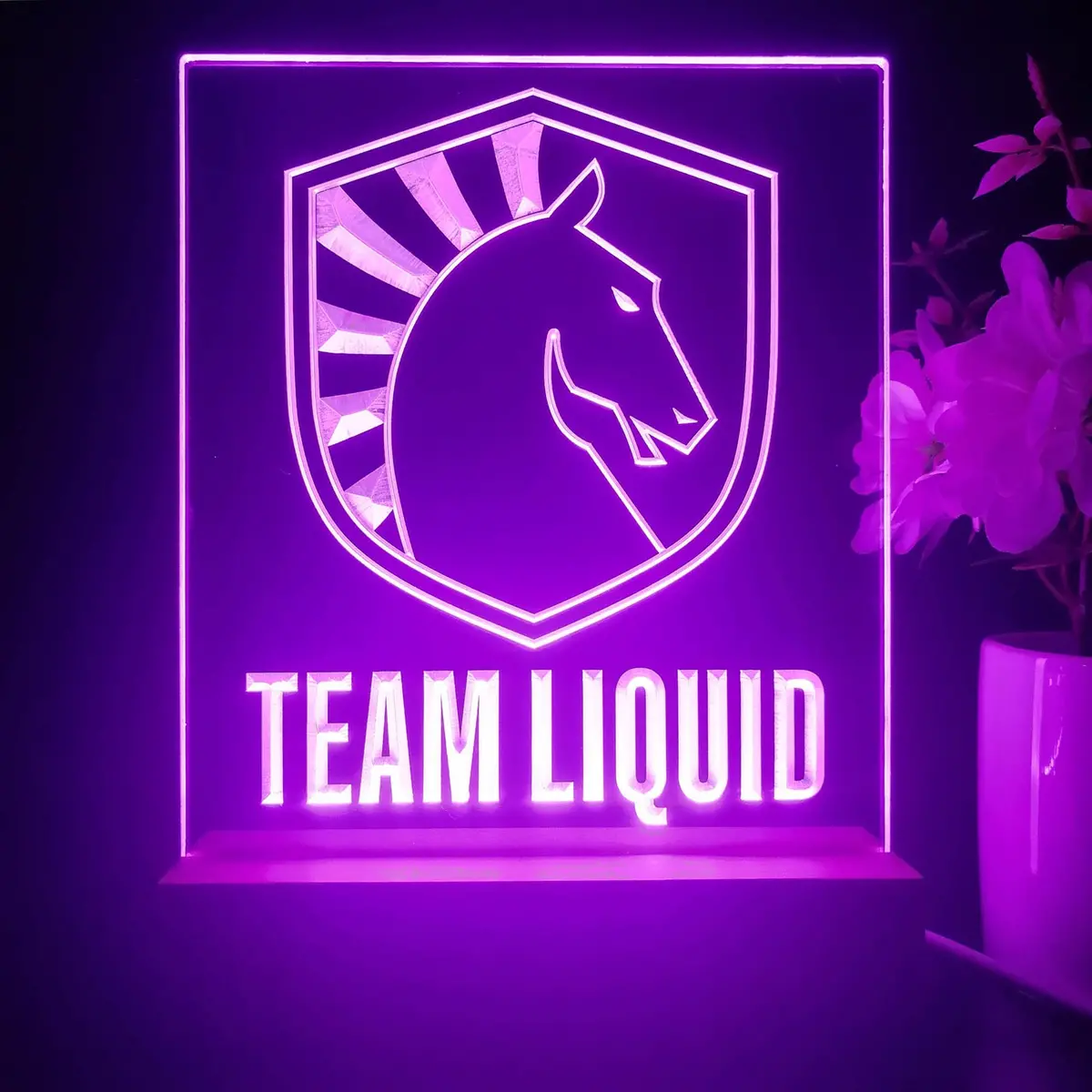 Team Liquid 3D Illusion Night Light Desk Lamp 1