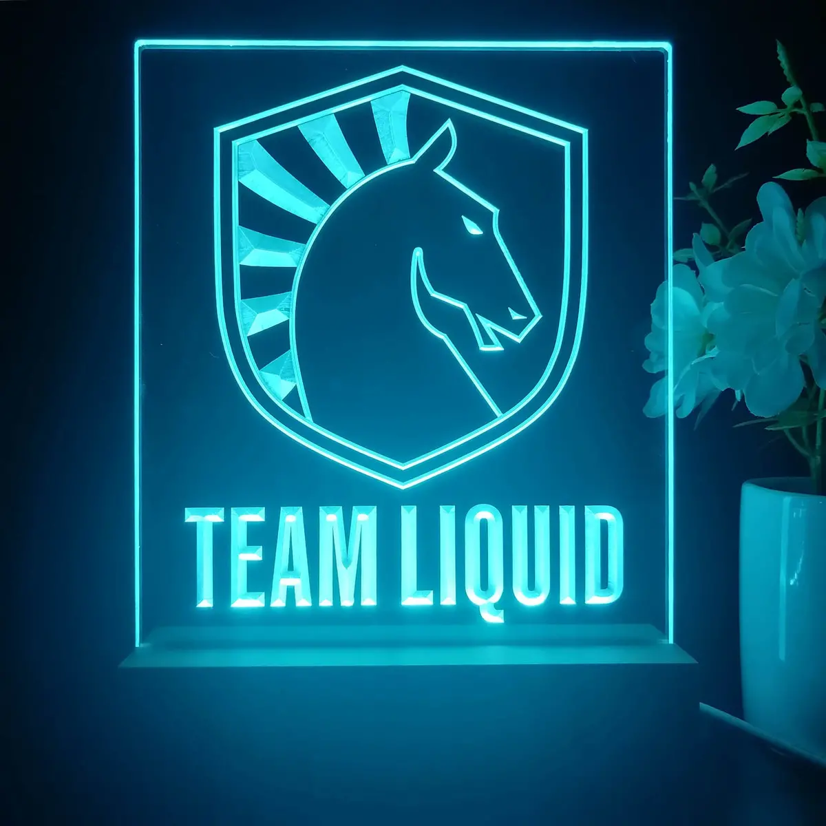Team Liquid 3D Illusion Night Light Desk Lamp 2