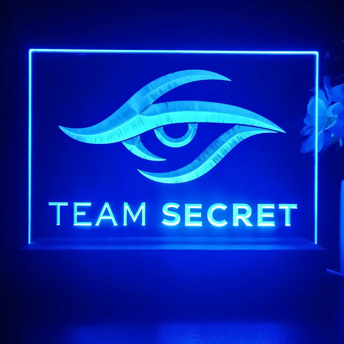 Team Secret 3D Illusion Night Light Desk Lamp 1