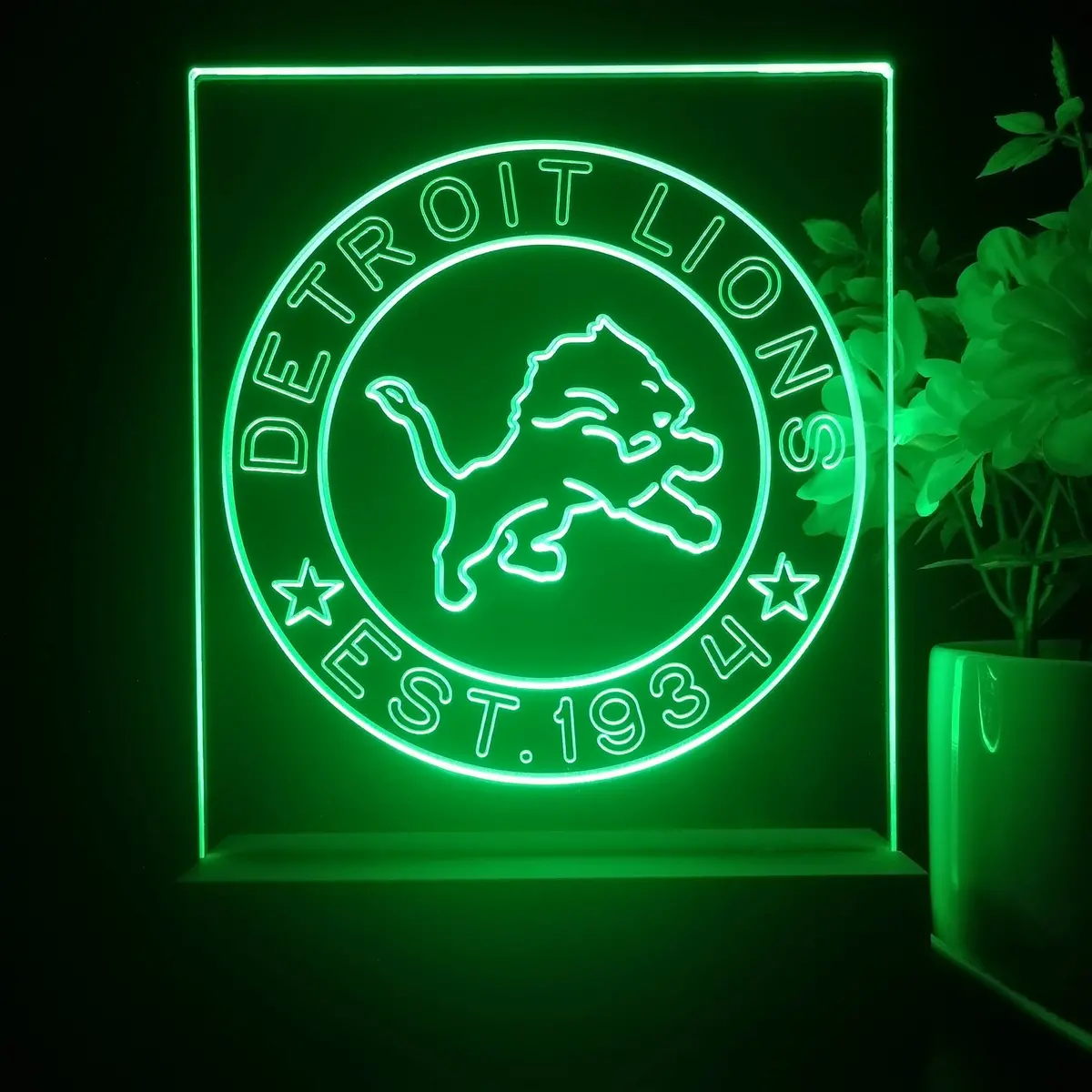 Personalized Detroit Lions Souvenir Neon Led Night Light Sign 1