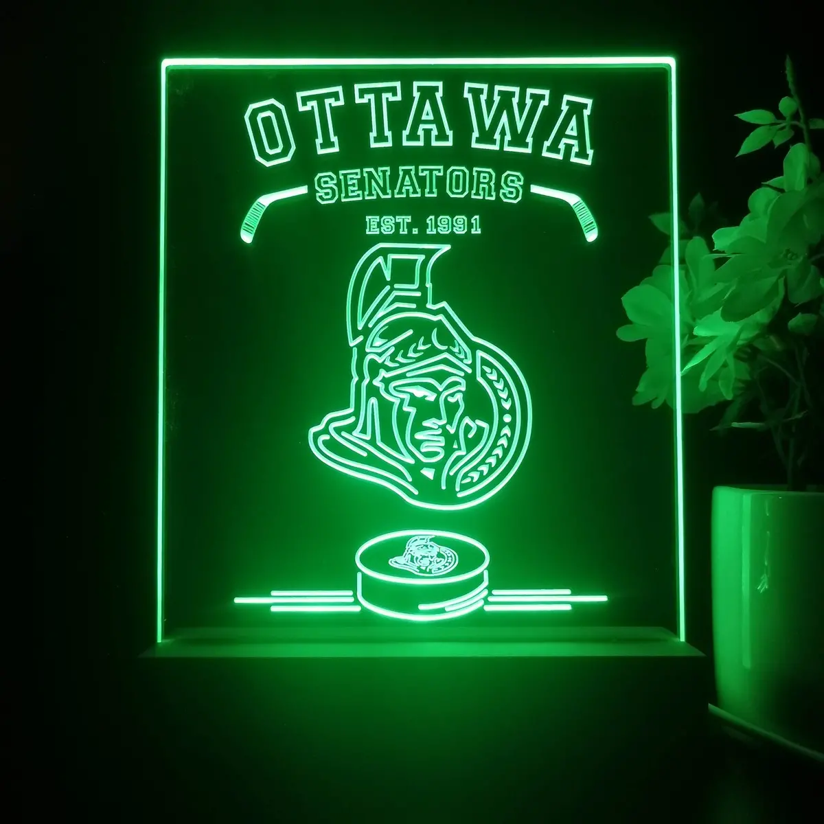 Personalized Ottawa Senators Souvenir Neon Led Night Light Sign 1