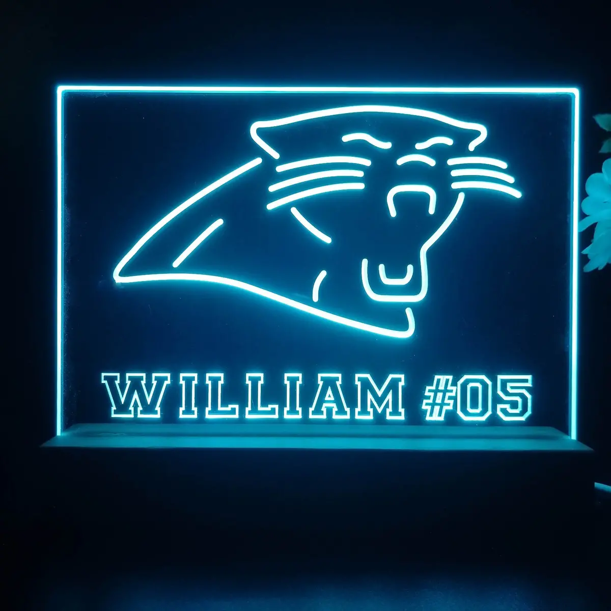 Personalized Carolina Panthers Souvenir Neon Led Night Light Sign 1