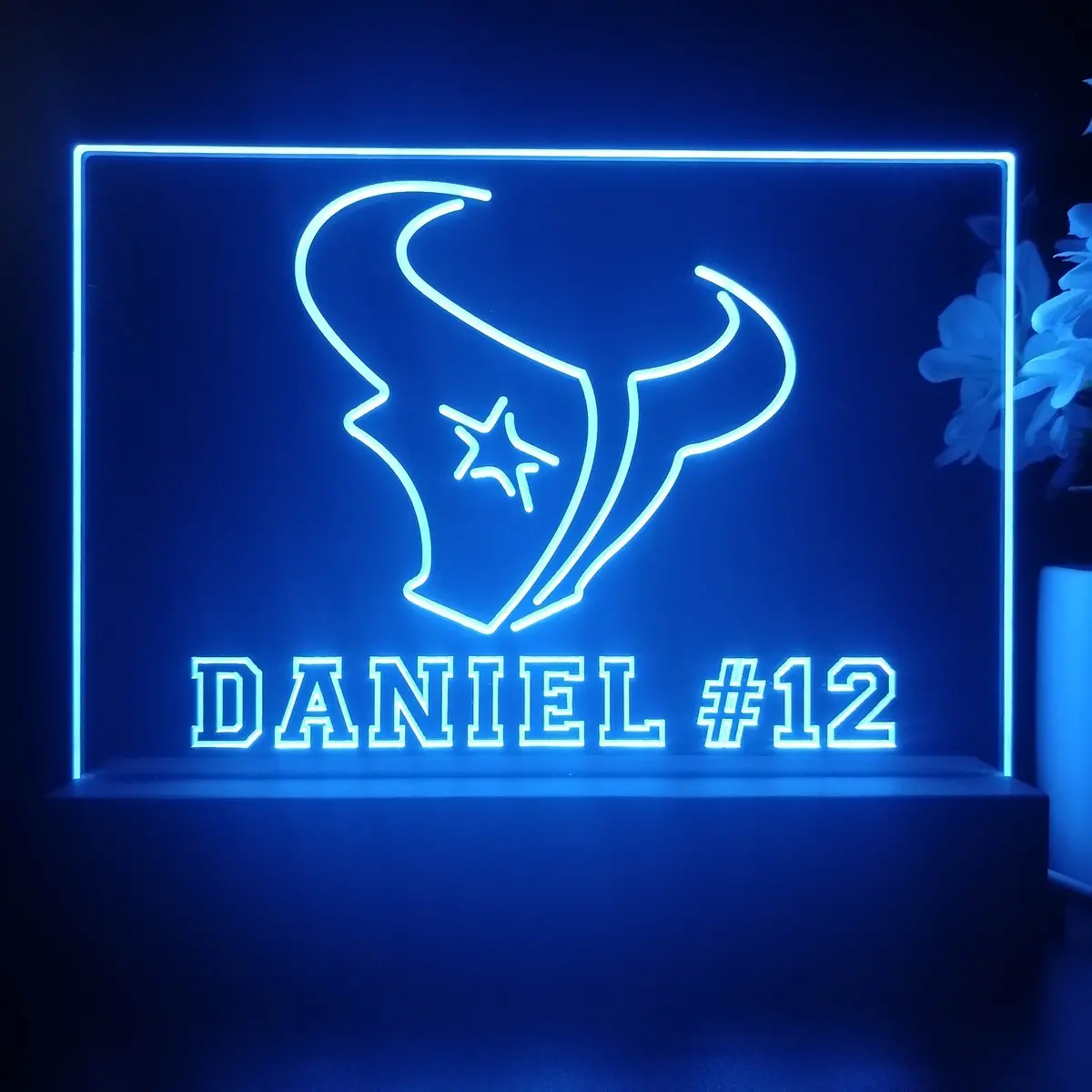 Personalized Houston Texans Souvenir Neon Led Night Light Sign 2