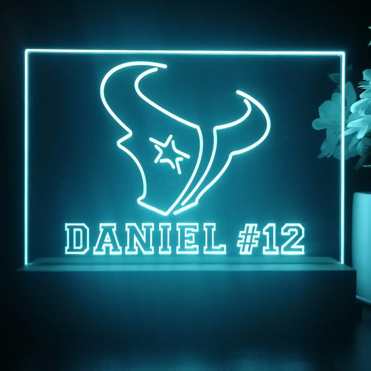 Personalized Houston Texans Souvenir Neon Led Night Light Sign 1