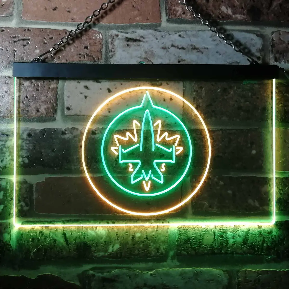 Winnipeg Jets Neon-Like Led Sign 1