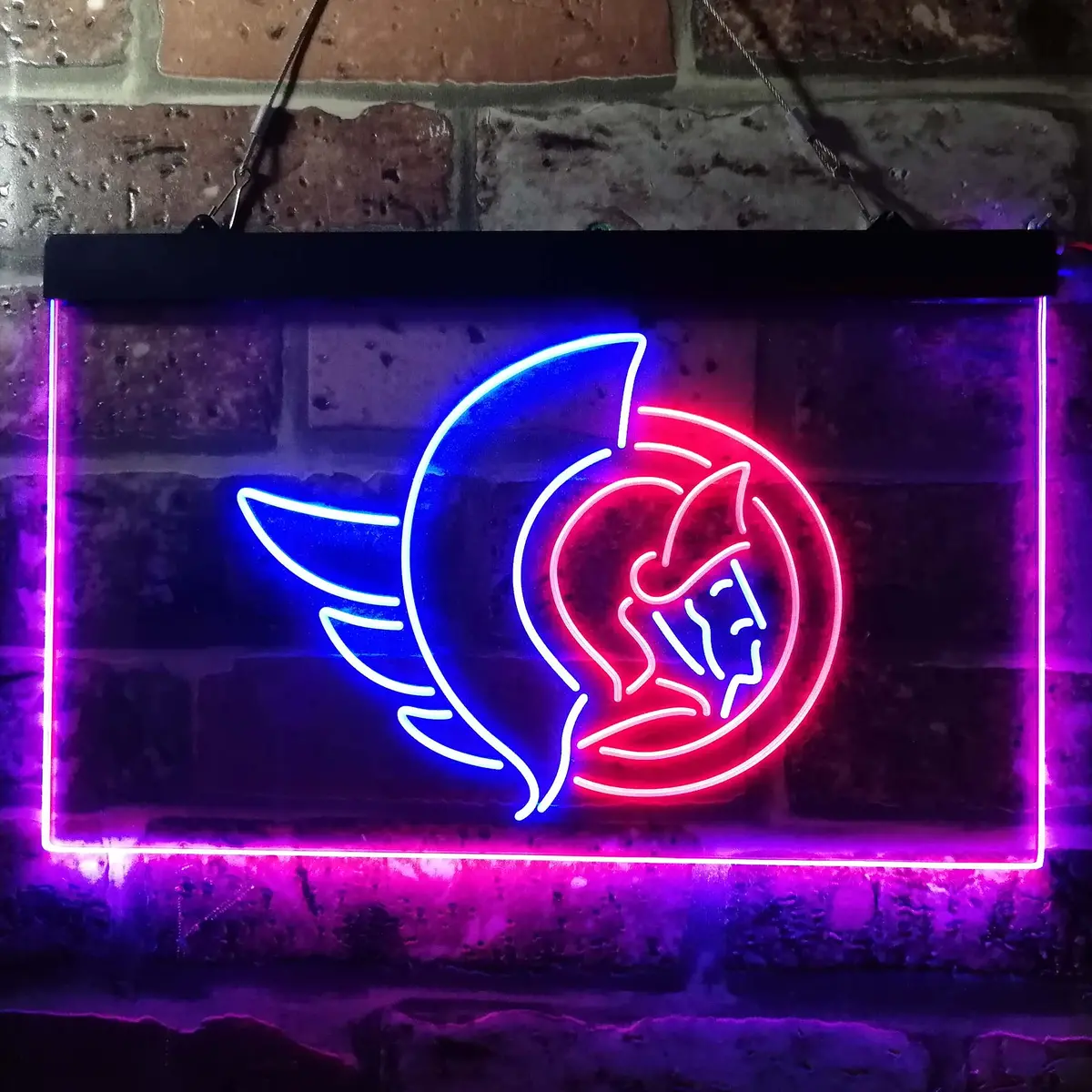 Ottawa Senators Neon-Like Led Sign 9