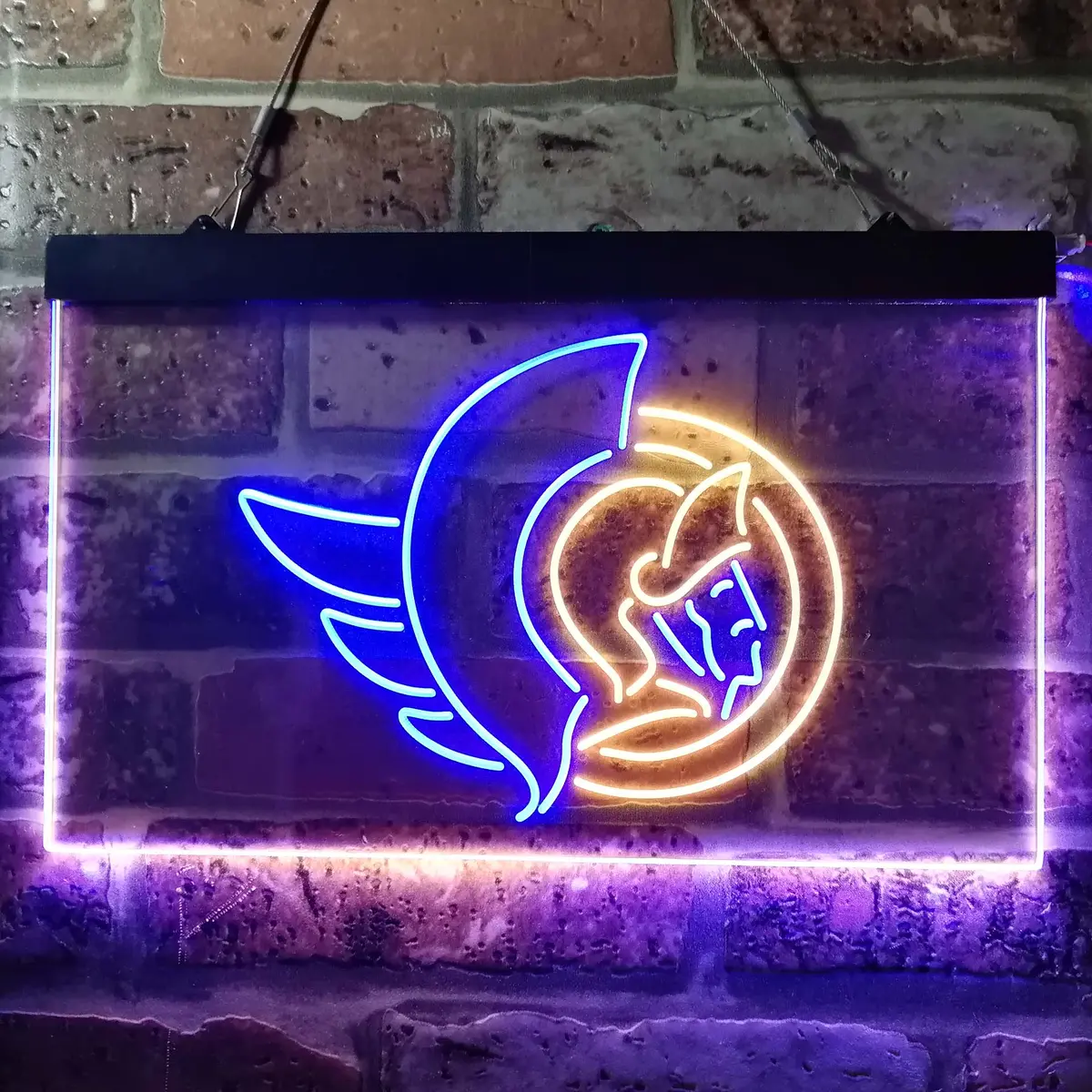 Ottawa Senators Neon-Like Led Sign 7