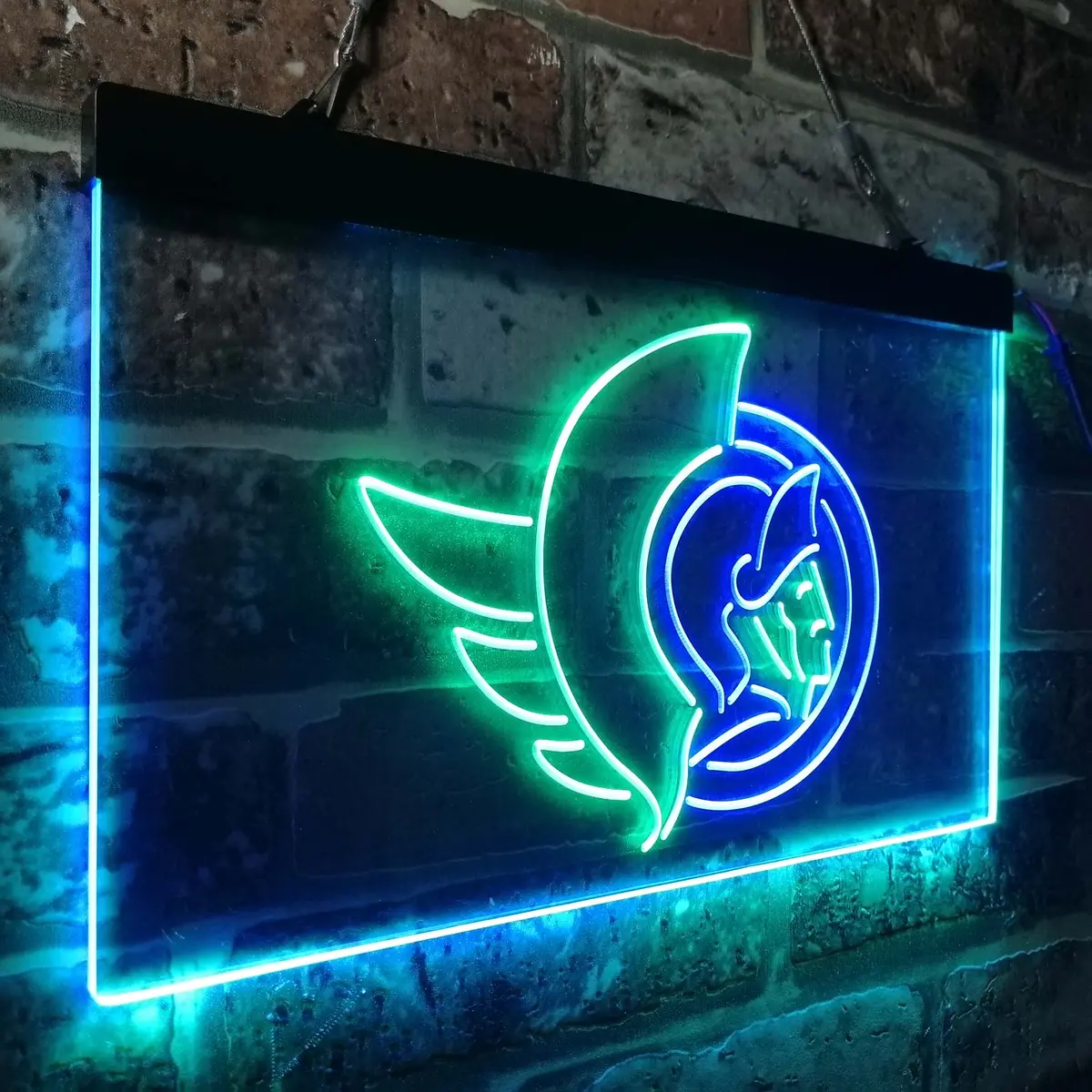 Ottawa Senators Neon-Like Led Sign 21