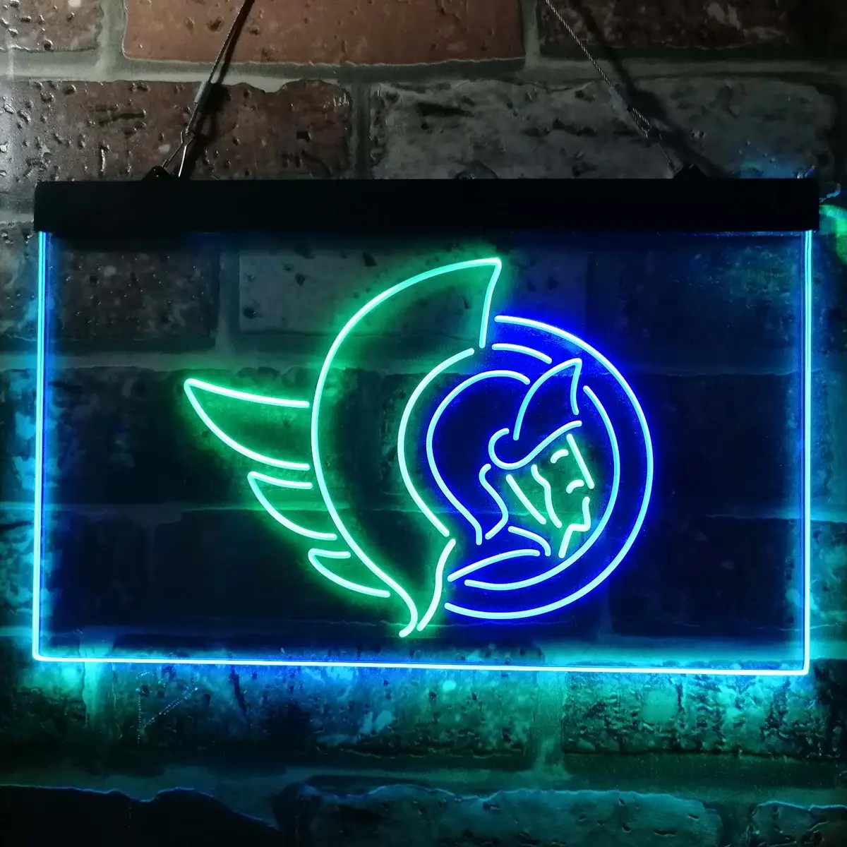 Ottawa Senators Neon-Like Led Sign 8