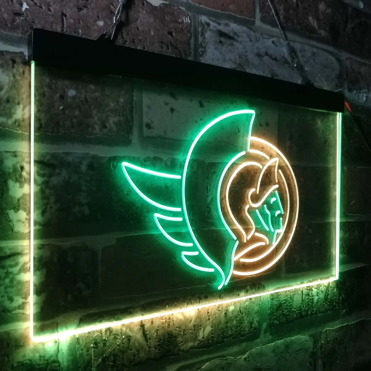 Ottawa Senators Neon-Like Led Sign 25
