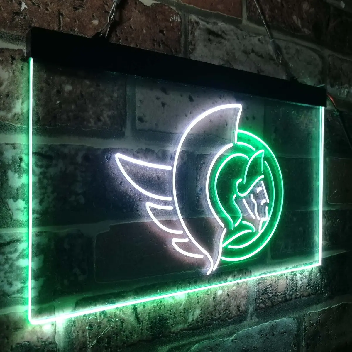 Ottawa Senators Neon-Like Led Sign 26