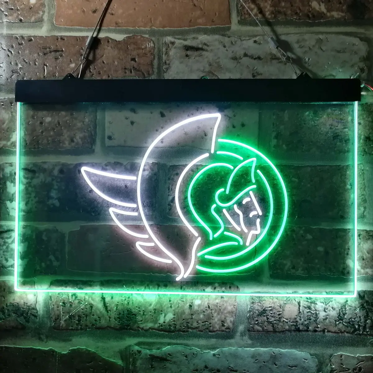 Ottawa Senators Neon-Like Led Sign 13
