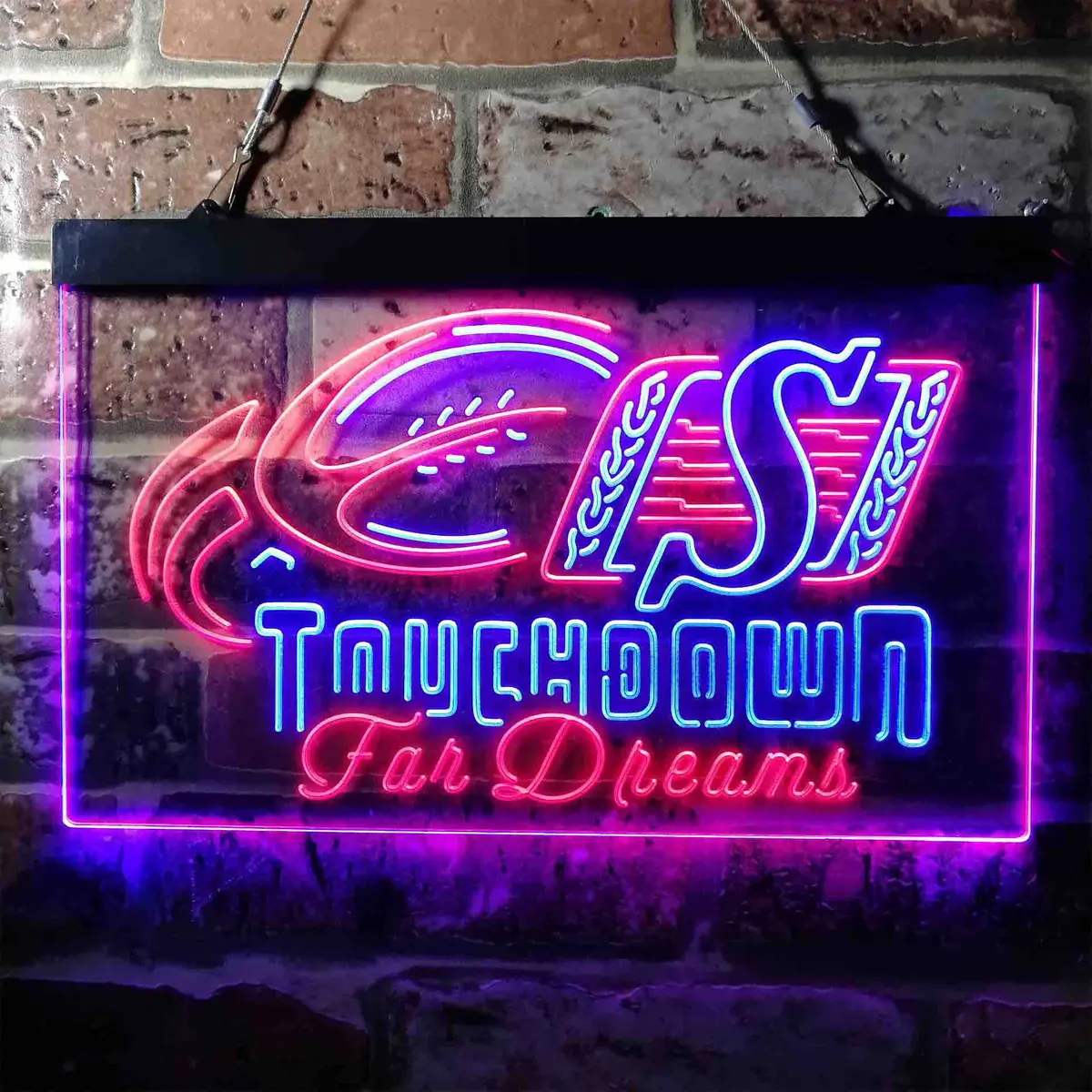 Saskatchewan Roughriders Neon-Like Led Sign 7