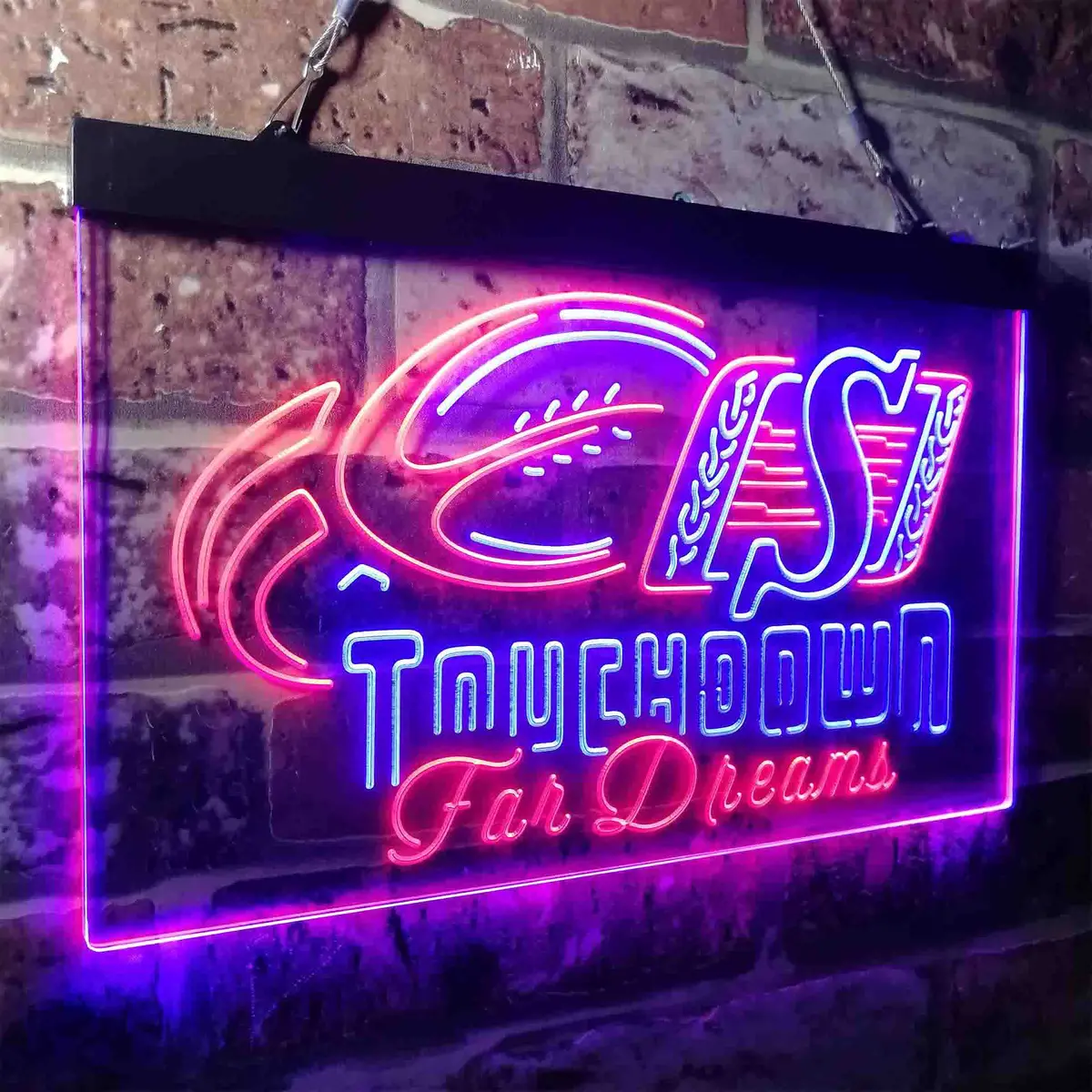 Saskatchewan Roughriders Neon-Like Led Sign 20