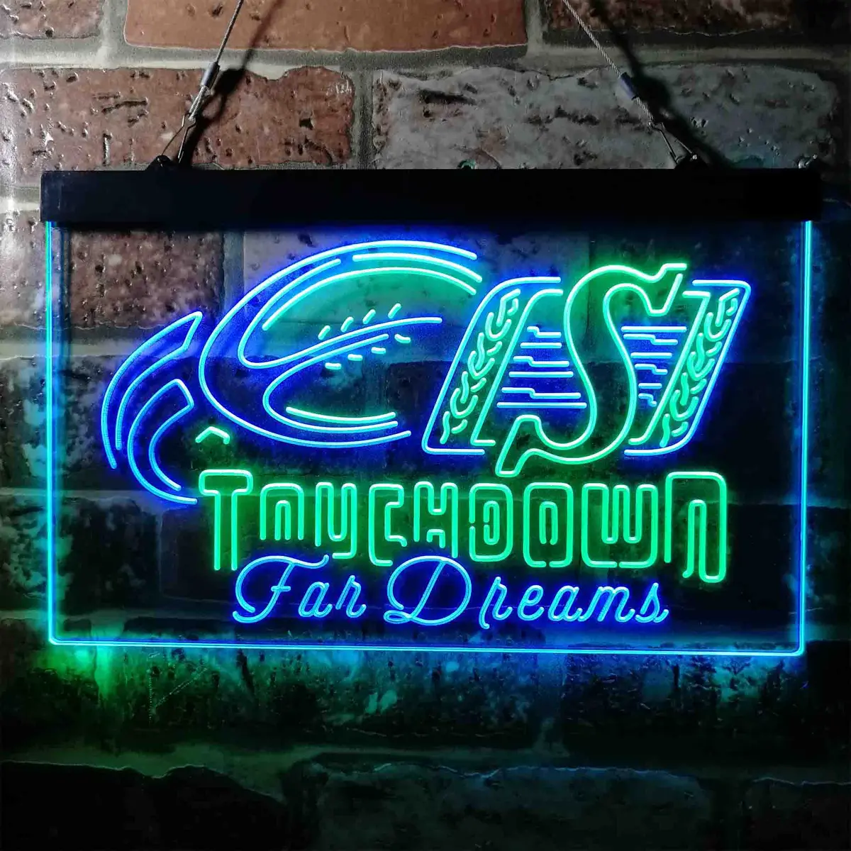 Saskatchewan Roughriders Neon-Like Led Sign 13