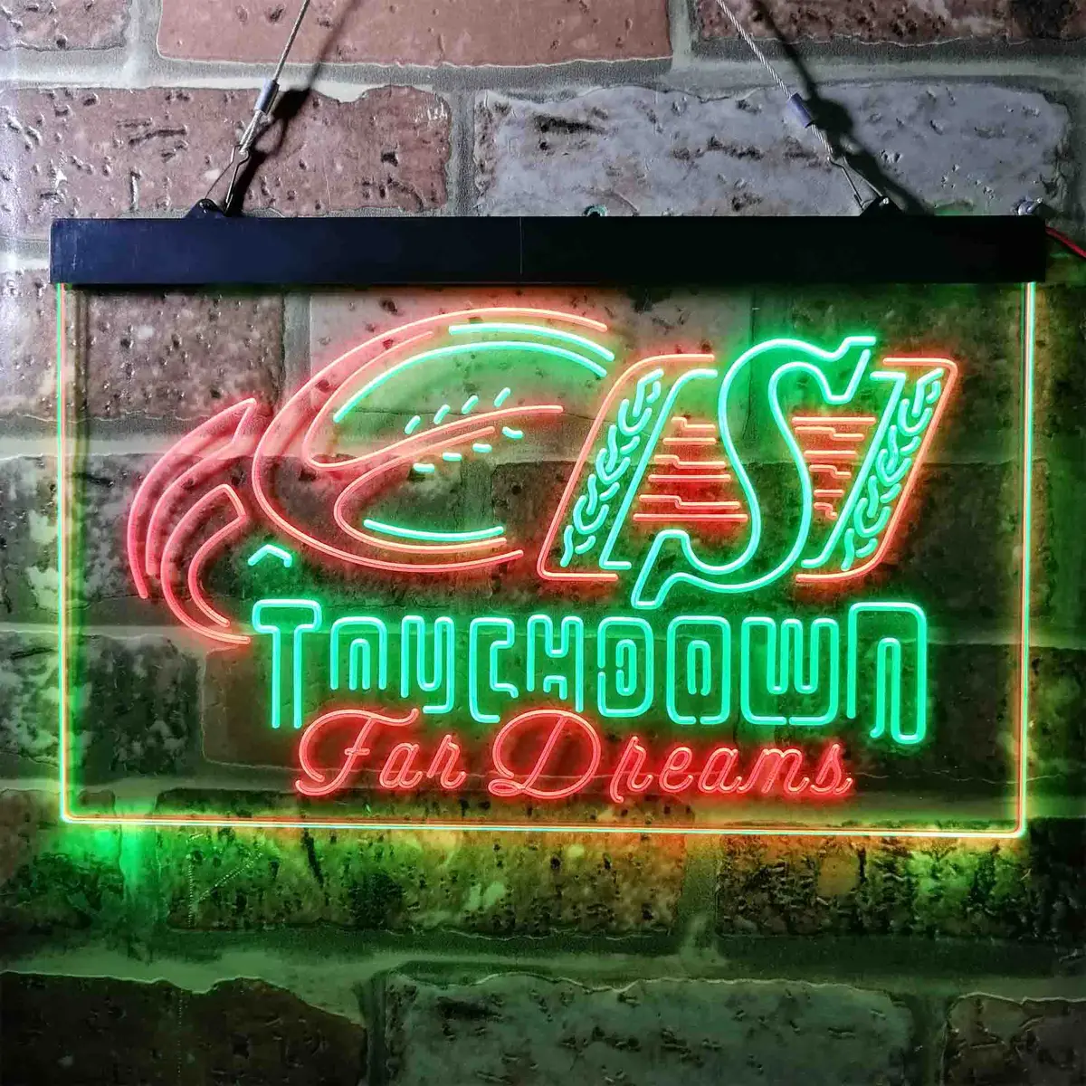 Saskatchewan Roughriders Neon-Like Led Sign 10