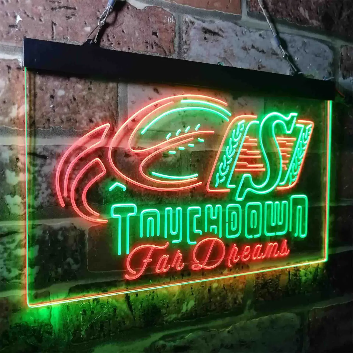 Saskatchewan Roughriders Neon-Like Led Sign 23