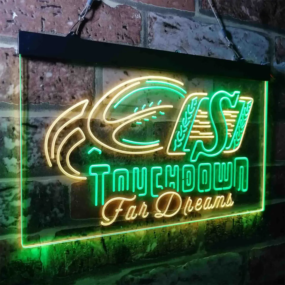Saskatchewan Roughriders Neon-Like Led Sign 14