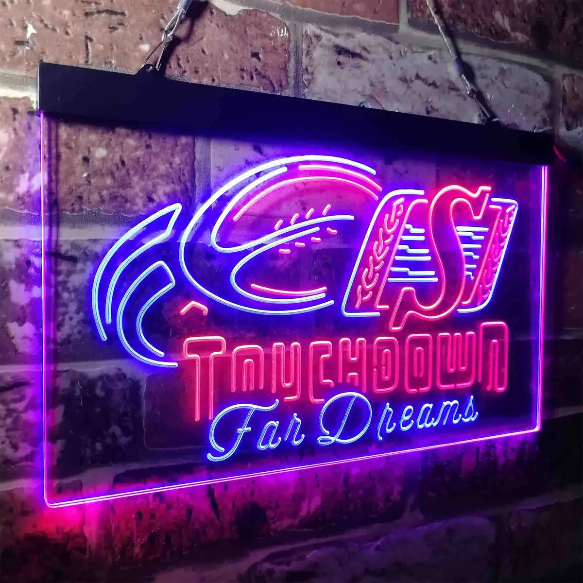 Saskatchewan Roughriders Neon-Like Led Sign 25