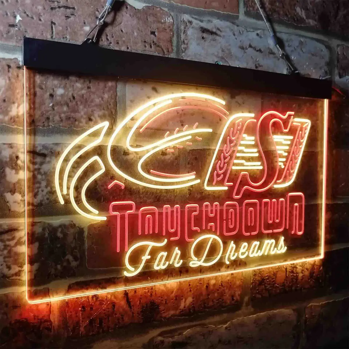 Saskatchewan Roughriders Neon-Like Led Sign 19