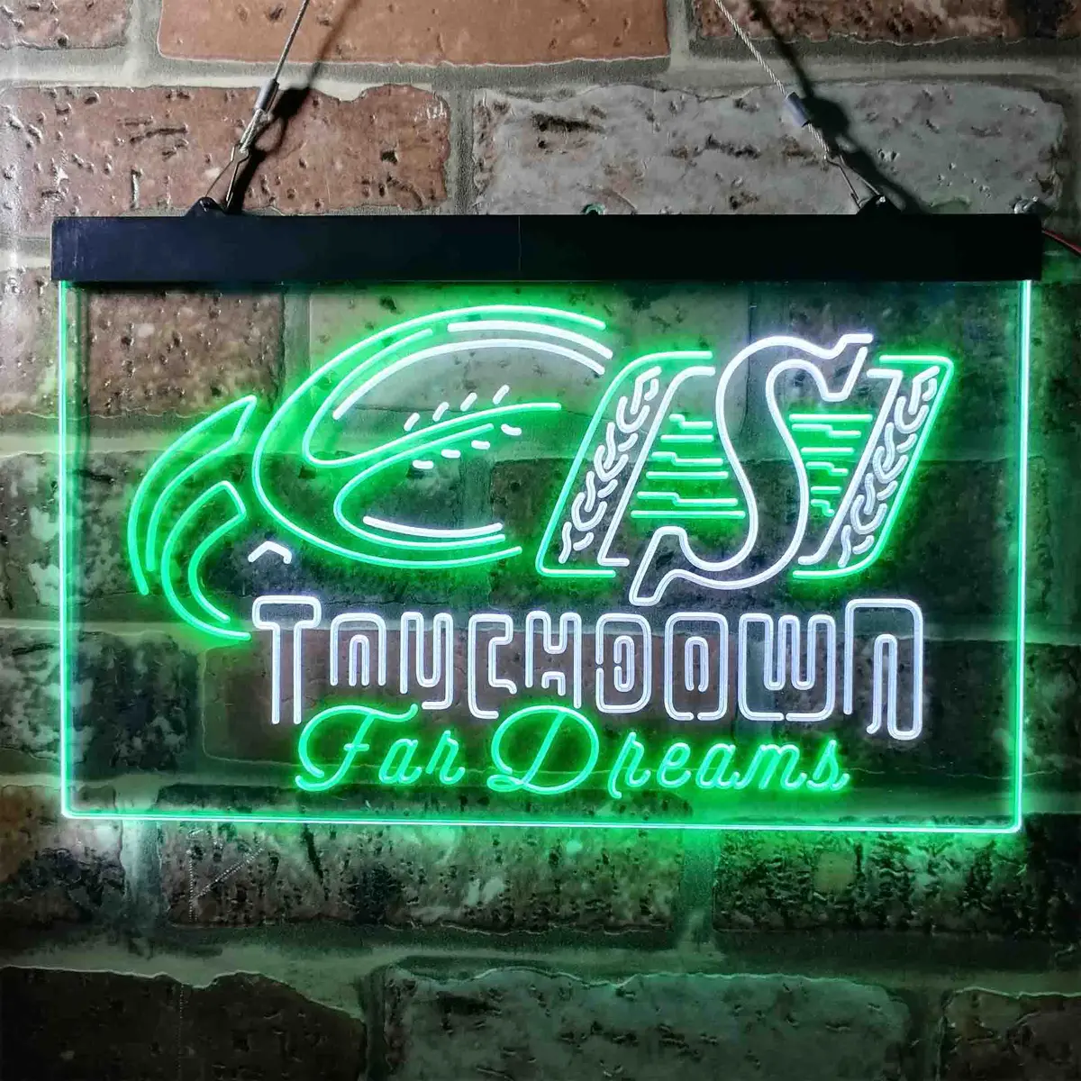 Saskatchewan Roughriders Neon-Like Led Sign 11