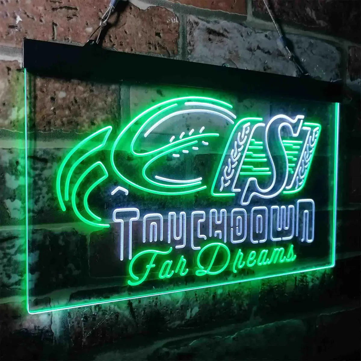 Saskatchewan Roughriders Neon-Like Led Sign 24