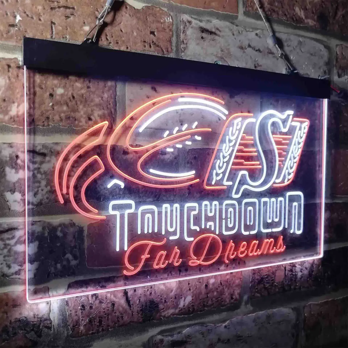 Saskatchewan Roughriders Neon-Like Led Sign 17