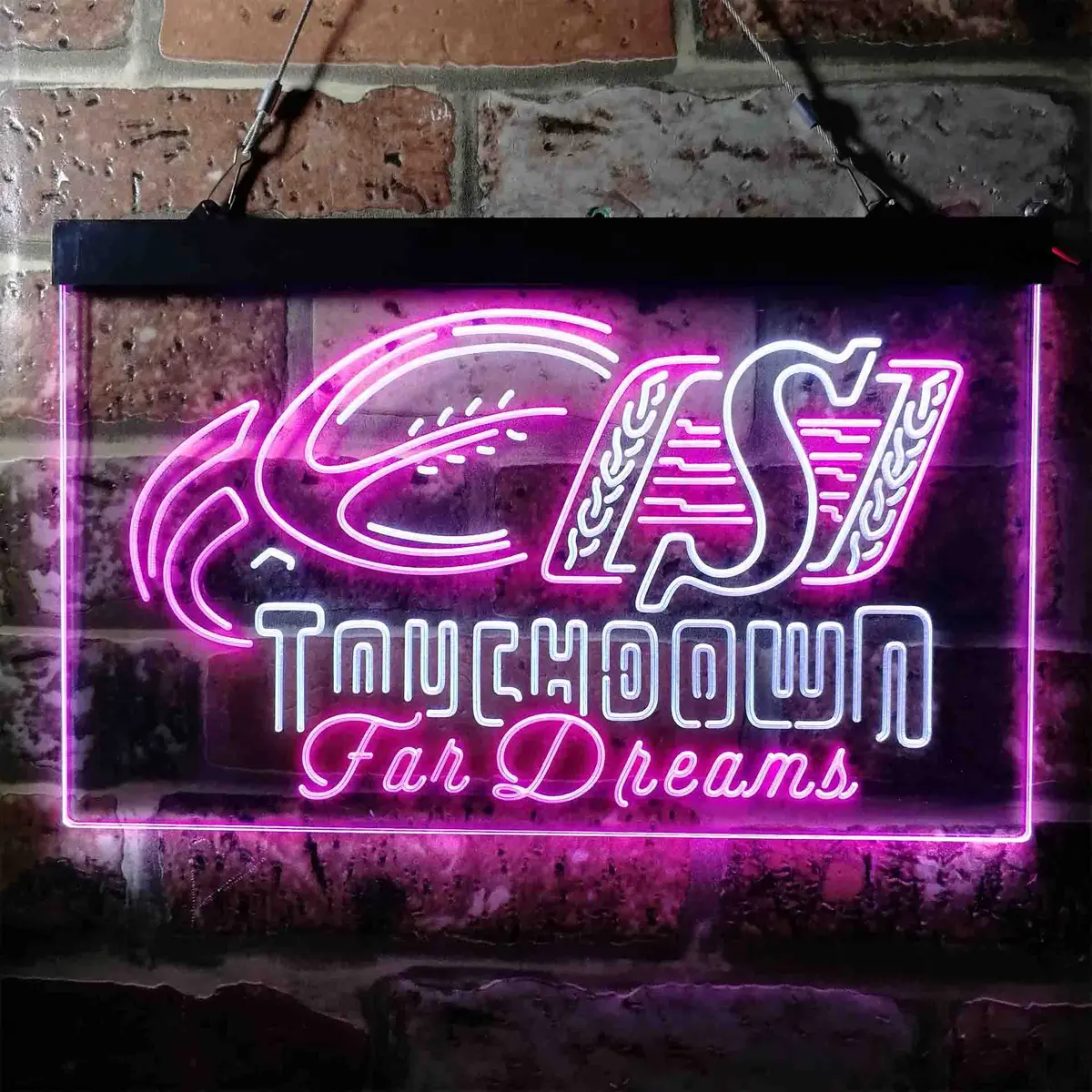 Saskatchewan Roughriders Neon-Like Led Sign 9