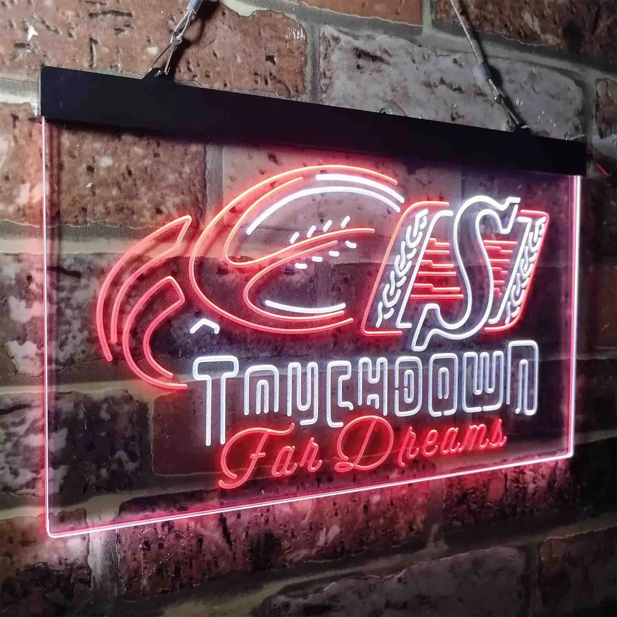 Saskatchewan Roughriders Neon-Like Led Sign 21