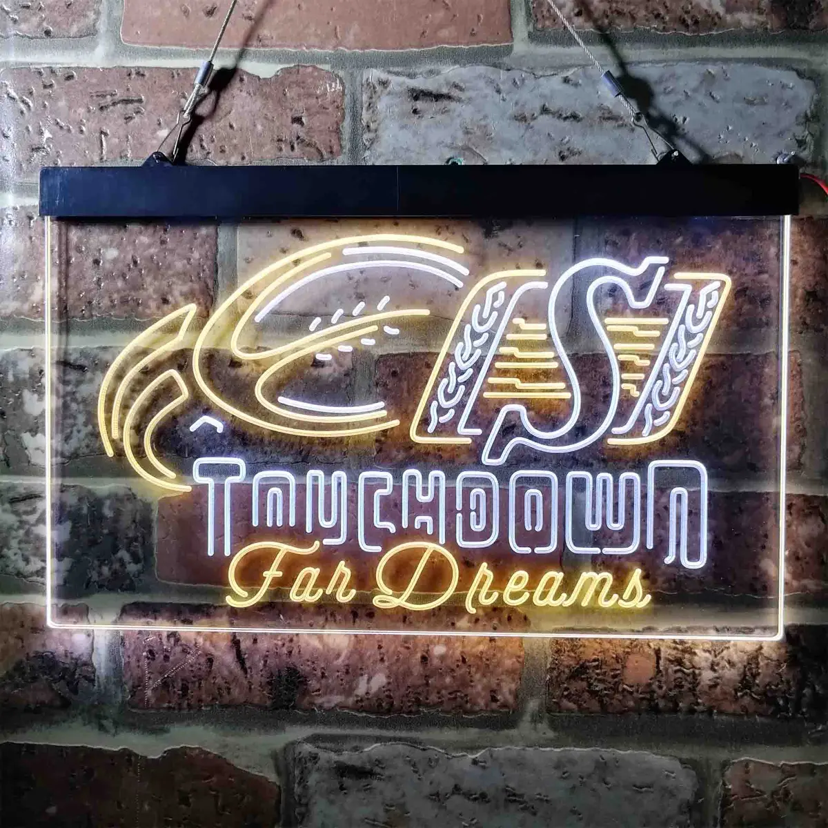Saskatchewan Roughriders Neon-Like Led Sign 2